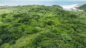 Vacant land / plot for sale in Ekubo Coastal Estate - R61 Ekubo Eco Estate - Port Edward - Property24