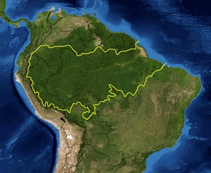 Increased deforestation could reduce Amazon basin rainfall