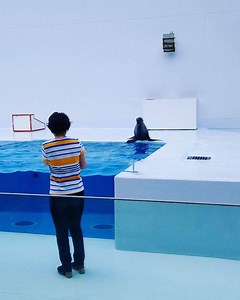 I Thought This Day Would Never Come!! 👀👀😱😱😱😱😱👌👌👌 #kamoaquarium #nature #naturelovers #animal #animalovers #frisbee #followme #japanadventures #bodybygray | BODY BY GRAY