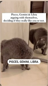 Don’t try them. You may get a surprise. That other side never liked you! 😂😂😂 . . . #Gemini #Pisces #Libra #ZodiacHumor | Chester Gregory