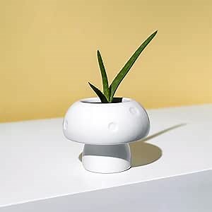 KUHA Mushroom Planter with Drainage Hole (White) - Ceramic Outdoor and Indoor Plant Pots for Boho Decor, Cottagecore Decor - Mushroom Small Pots for Plants - Modern Planters for Indoor Plants