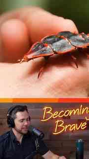 Grail Insect Found! Can’t Believe This Rare Beauty Is Real