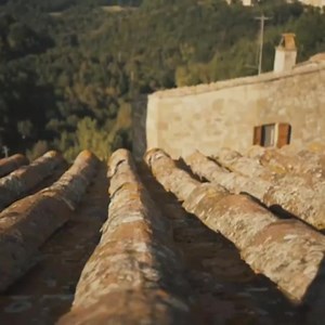 282K views · 2.3K reactions |  | Memes Jokes & Laughter | Facebook