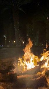 4.3K views · 36 reactions | Enjoy our unforgettable Bedouin nights filled with music and entertaining shows! 朗 ______ For booking and reservations, contact us at: 084 2820 000  01015 687 888  0109 073 5328 (WhatsApp) ✉️ reservations@lazibinn.com #lazibInn #fayoum #QarunLake #Bedouin #pool #vacation #relaxation #nightlife #Bedouinnights #Folkloricshow #resort #Spa #Egypt | Lazib Inn Resort & Spa | Facebook