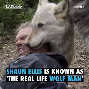 Meet Shaun Ellis, the man who lives with wolves! | LADbible
