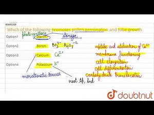 Which of the following promotes pollen gemiination and tube growth