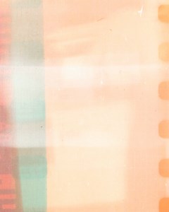 22 reactions · 44 shares | “Assis !” “Coucher !” “Arrête de faire ça !”  Ton chien n’en fait qu'à sa tête ? Ne t’épuise plus et découvre une méthode simple, douce et basée sur la psychologie canine pour avoir un chien bien éduqué en 15 min par jour. Elle a été testée et approuvée par plus de 75 000 propriétaires de chiens.  Découvre-la dans un atelier en ligne 100 % gratuit en cliquant sur le bouton ci-dessous. | Educ Dog | Facebook