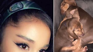 Ariana Grande Reveals She Has Two New Dogs, And Their Names Are Inspired By Harry Potter