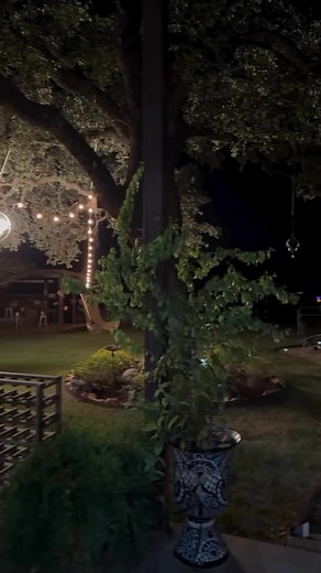 Loving Life ♥️ | Lisa Gayle Vasicek