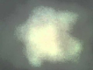 Sneezy scenario - perfume allergy sneezing fit on a long flight (M)