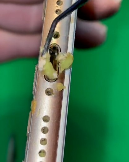 From filthy charging ports to dirty AirPods, this 'iPhone Doctor' has seen his fair share of disgusting tech 🤢📱 | UNILAD