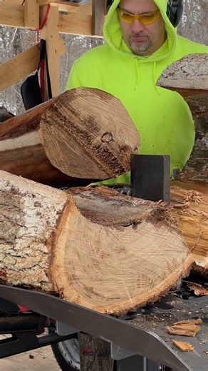 Splitting a Tree Inside a Tree #firewood #centerpieces #trees | Back 40 Firewood