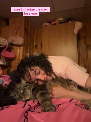 My baby🥹🥹 #catsoftiktok #kittycat #pinkprincessk #catlover #cats | Cat TikTok