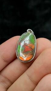 🌊 จี้ แอมโมไลท์ 🍁แอมโมไนต์ ล้อม Silver 925 /  หลากสี จากแคนาดา( Ammonite Ammolite )🌿🌿🌿🌿🌿🌿🌿🌿🌿🌿🌿🌿🌿✨ ชนิด : จี้ แอมโมไนต์ แอมโมไลท์ (Ammonite Ammolite) เงินเเท้🌈 แหล่ง : Alberta, Canada🌈 ธรรมชาติ ดิบ เเท้ เคลือบผิวหน้า🌈 | Lazada.co.th