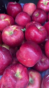Get Kissed at 101! Yes the First Kiss apple is here: with the explosive crisp texture of Honeyc￼risp and a flavor that falls more on the tart then sweet side. First Kiss is likely to become another favorite Minnesota grown apple. | 101 Market