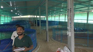 6.6K views · 118 reactions | Biofloc Fish Farming And RAS Fish Farming Karnataka ph no -9606100149 #Bioflocfishfarming | My Nature India Foundation | Facebook