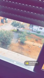 Mido Belahbib on Reels