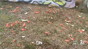 Lead found in peeling paint on multiple area bridges