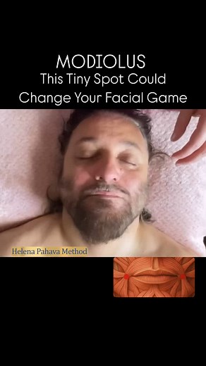 THE POWER OF THE MODIOLUS The modiolus is a fascinating fibromuscular hub located at the corner of the mouth. It is not a single muscle, but rather a convergence point—a complex knot where multiple facial muscles interlace. These include the orbicularis oris, buccinator, zygomaticus major, levator anguli oris, depressor anguli oris, risorius, and platysma. Each of these muscles plays a role in expressions, speech, and movement of the mouth. The function of the modiolus goes far beyond smiling. I
