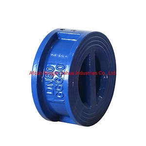 [Hot Item] Dual Plate Check Valve with DIN and ANSI Standard