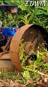 5.6K views · 24 reactions | Banana Tree Cutter Machine | EDWIN - TECH | Facebook
