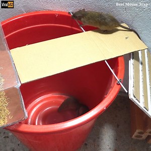 8.9K views | Mouse Trap 2019 Homemade/How to make a Mouse Rat Trap With Papper easiest/Electric Trap Credit: Best Mouse Trap - youtu. be/SKmSQzCtrU8 | Goldart Auction & Investment House | Facebook