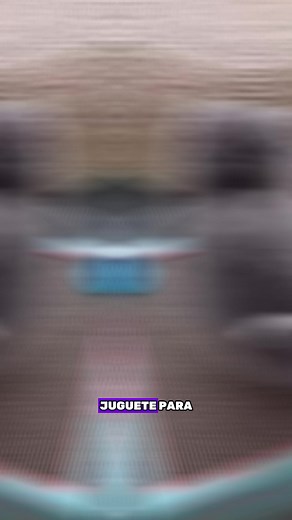 6.8K views · 80 reactions | RASCADOR INTERACTIVO PARA GATOS Por solo...