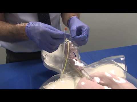 AR331 Hungry Manikin® - Nasogastric Feeding Trainer