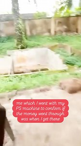 Busted for giving f@ke MOMO alerts to when they come to buy from you #viral #followers #trend | The African Folklore | Facebook