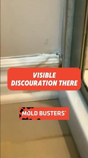 🚿🦠 Shower mold? No problem!
