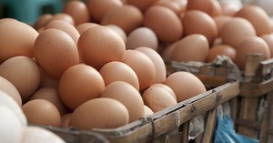 Comment savoir si un oeuf est bon ?