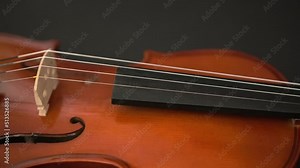 Violin playing. Classical brown musical violin. String musical instrument. Online learning to play the violin. Hobbies for children and adults. classical concert