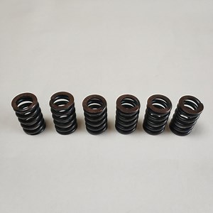 [Hot Item] Coil Compression Helical Gear-Box Spring