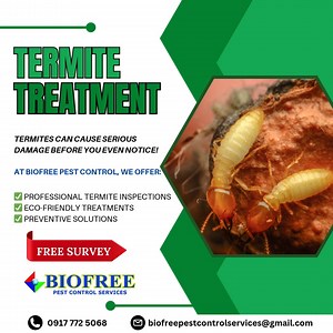 Don’t let termites destroy your home! 🏠 Protect your space with Biofree Pest Control Services. Book your FREE SURVEY today and enjoy expert inspections and lasting preventive solutions! ✅ #TermiteTreatment #BiofreePestControl #HomeProtection #biofreepestcontrolservices | Biofree Group of Companies