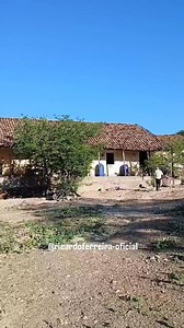 6.1K views · 12K reactions | #Conselhoaofilhoadulto siga o bom deixe o ruim e foi assim que o Senhor chegou na idade que está hoje respeitando o seu semelhante com fé e #Deus e muitas lutas #papaiemamãe nunca deixou faltar o exencial pra os filhos.  #Nostalgia casa de #vovôevovó #nordestebrasileiro #sertão #origem #sertanejo #vidanaroça #geraçãodeferro  #Deuséfiel ✍️ #Bomdia #moçada 鸞☕️ | Ricardo Ferreira | Facebook