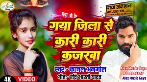 219K views · 9.1K reactions | Alex Music Gaya on Reels | Facebook