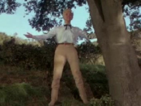 Doris Day Secret Love 1953