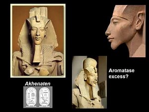 11 - BIOL 330, Chapter 7a - Endocrine Function, Part 1