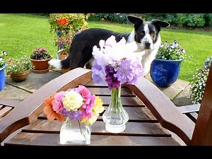 How to make a simple Autumn flower arrangement.
