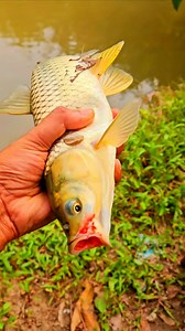 Crying Fish | Kolkata Fishing | Facebook