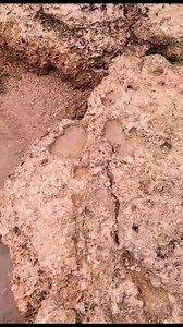 Treasure hunt unusual sea side markings | Jm D Compass