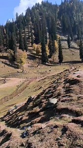 28K views · 2.5K reactions | Sonamarg forest view | Beauty explore | Facebook