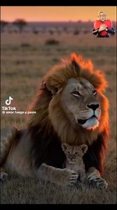 2.2K views · 67 reactions | Maria Dolores Royo Grimaldo on Reels | Facebook