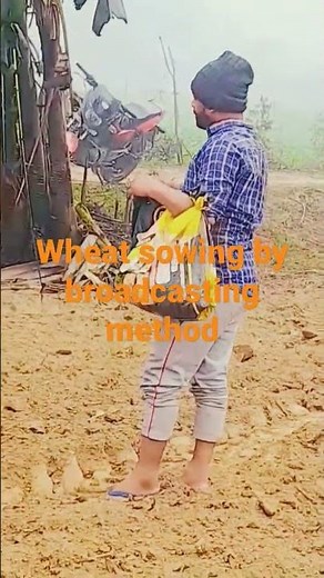 wheat sowing by broadcasting method