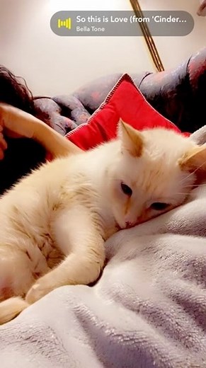 Tracie Spencer on Instagram: "Be kind and spread love and light when u can"