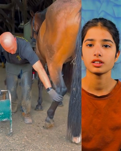 amazing Farrier-Hoof Restoration-Satisfying | Mahi