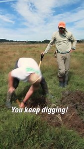 Gouge coring: Not as violent as it sounds! Scientists use gouge cores to investigate sediment stratigraphy in marshes and other terrestrial areas. The Eel River in Northern California is located near the Mendocino triple junction, where three seismic faults meet: the Cascadia Subduction Zone, the Mendocino Fracture Zone, and the San Andreas Fault. Sediments preserved in coastal settings such as the lower Eel River valley may record evidence of past seismic activity like subsidence or tsunamis. U