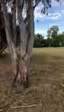 Message from Greggie! 🥳 | Sara Storer