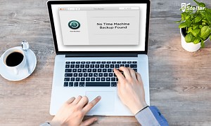 No Time Machine Backup Found: Learn to Recover Lost Data on Mac