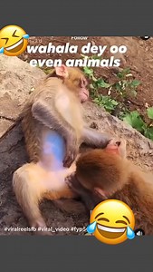 🙆 ♀️🤣 | Physics Theories